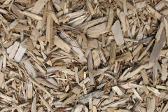 biomass boilers Penrhiwceiber